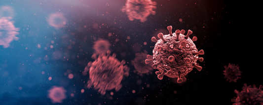 What is Monkeypox?