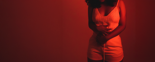 What is Shigella?